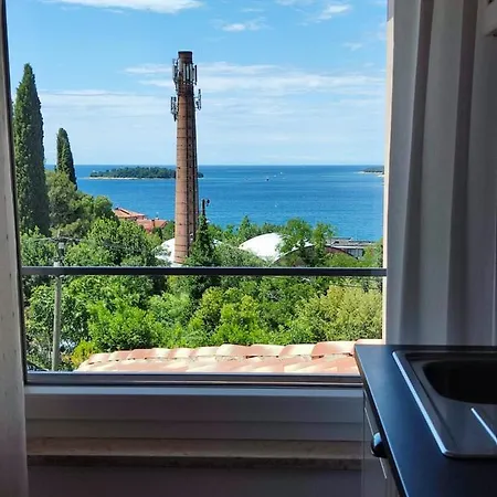 Danijela Sea View And Free Parking * Rovinj