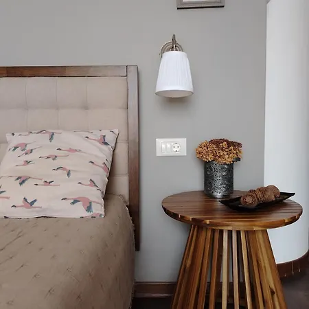 Danijela Sea View And Free Parking * روفينج